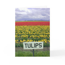 Happy Spring Tulips cards by gardenparty Happy Spring Tulips cards