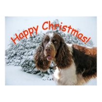 Happy Springer Xmas! posters