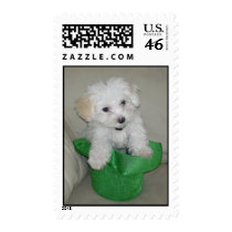 Happy St. Patricks Day!! postage