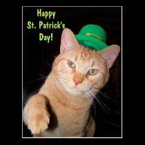 Happy St. Patrick's Day Postcard postcards