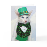 Happy St Patrick's Day - Skeezix the Cat Card