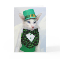 Happy St Patrick's Day - Skeezix the Cat Card by knichols1109 Happy St Patrick's Day - Skeezix the Cat Card