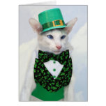 Happy St Patrick's Day - Skeezix the Cat Card