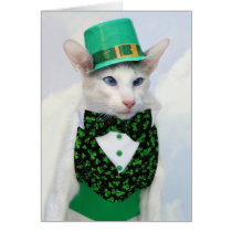 Happy St Patrick's Day - Skeezix the Cat Card cards