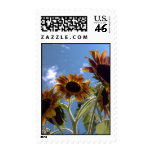 Happy Sunflower Postage stamps