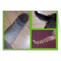 Happy Tails to you! cards by KatAnnette Happy Tails to you! cards