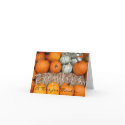 Happy Thanksgiving 2010 Pumpkin Notecard by Temperence Happy Thanksgiving 2010 Pumpkin Notecard