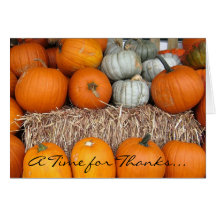 Happy Thanksgiving 2010 Pumpkin Notecard