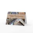 Happy Thanksgiving (3) Card card