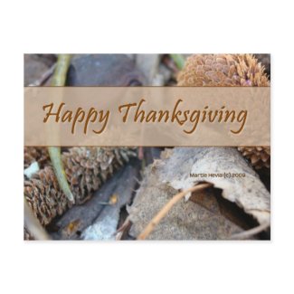 Happy Thanksgiving (3) Postcard postcard