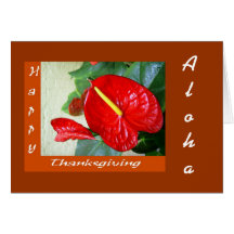 Happy Thanksgiving - Aloha Card