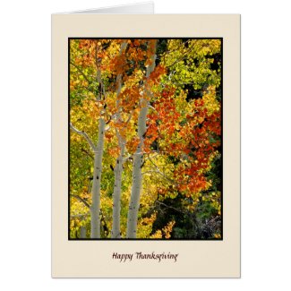 Happy Thanksgiving Autumn Aspens, Fall Colors Card