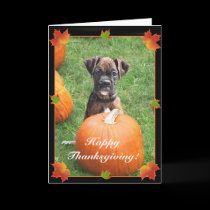Happy Thanksgiving boxer puppy greeting card