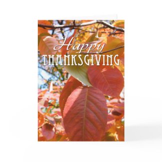 Happy Thanksgiving Card