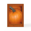 Happy Thanksgiving! cards