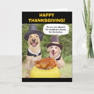 HAPPY THANKSGIVING! card