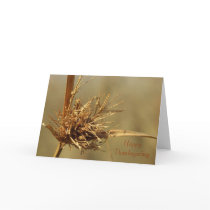 Happy Thanksgiving cards