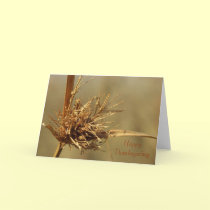 Happy Thanksgiving cards