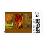 Happy Thanksgiving Collage Postage Stamp