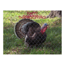 HAPPY THANKSGIVING!, (Eat a Burger) Poster posters by OurSouthernCharm HAPPY THANKSGIVING!, (Eat a Burger) Poster posters