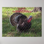 HAPPY THANKSGIVING!, (Eat a Burger) Poster