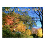 HAPPY THANKSGIVING FALL postcard