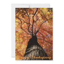 Happy Thanksgiving Personalized Invitation