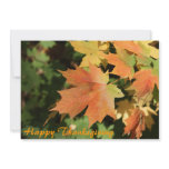 Happy Thanksgiving Custom Invitations