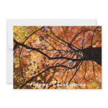 Happy Thanksgiving Invites