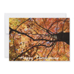 Happy Thanksgiving Invites