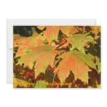 Happy Thanksgiving Personalized Invites