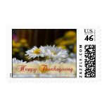 Happy Thanksgiving Mums Stamp