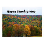 HAPPY THANKSGIVING NATURE postcard