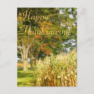 Happy Thanksgiving Postcard postcard