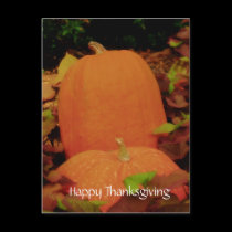 Happy Thanksgiving