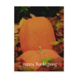 Happy Thanksgiving