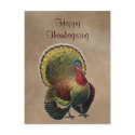 Happy Thanksgiving Postcard
