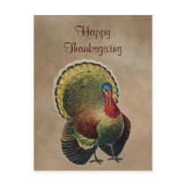 Happy Thanksgiving Postcard