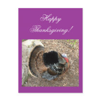 Happy Thanksgiving! - Thanksgiving card Postcard