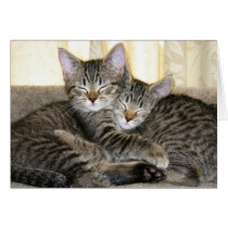 Happy Together cards by karenand Happy Together cards