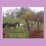 Happy Trails! postcards