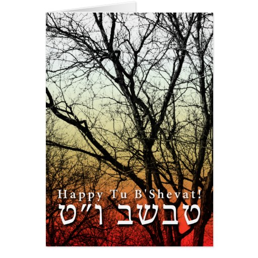 Happy Tu B’Shevat! : Jewish Arbor Day Card | Zazzle