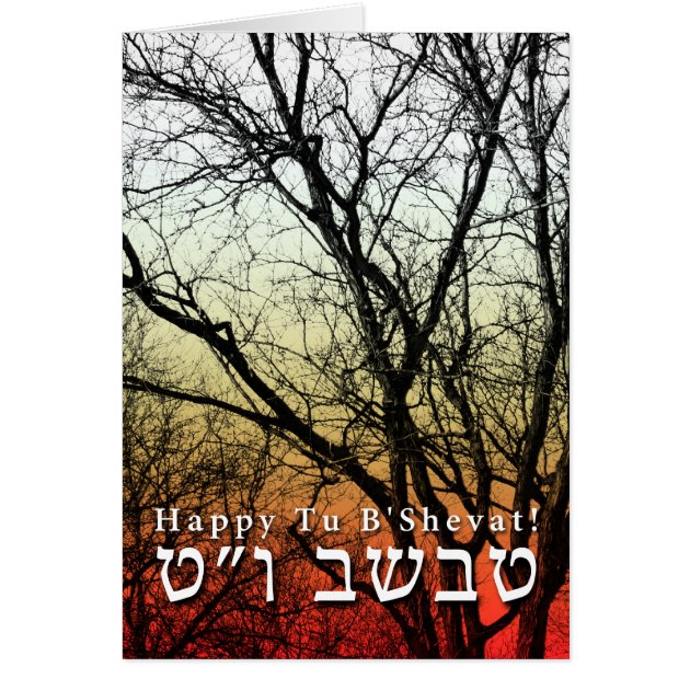 Happy Tu B’Shevat! : Jewish Arbor Day Card | Zazzle