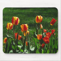 Happy Tulips Mousepad mousepads