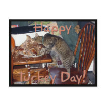 Happy Turkey Day! postcards by Angie529 Happy Turkey Day! postcards