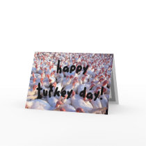 Happy Turkey Day Thanksgiving Greeting Card