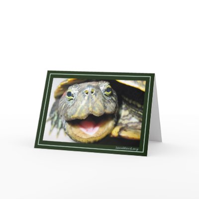 Happy Turtle Card by seanward