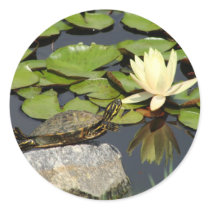Happy Turtle in a Lily Pond Stickers