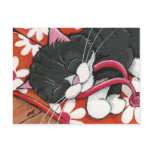 Happy Tuxedo Cat Asleep on a Pair of Flip Flops Postcard