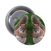 Happy Twins Day, Red Squirrel Humor, Cute and Pers Pins